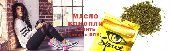 гидра Вязьма