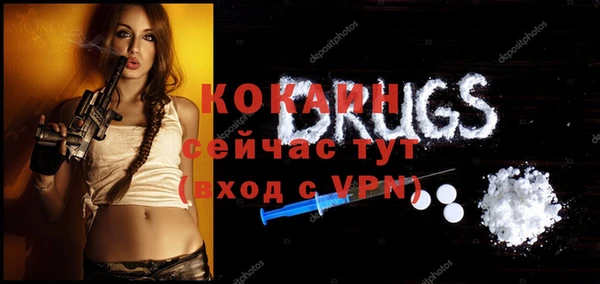 PSILOCYBIN Вяземский