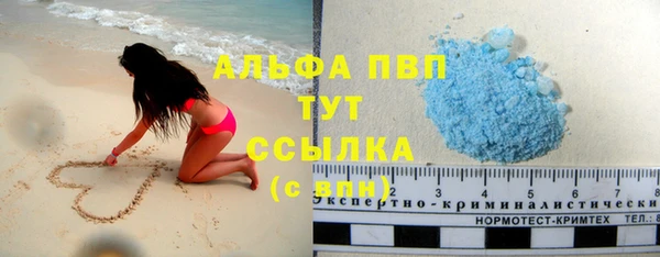 гидра Вязьма