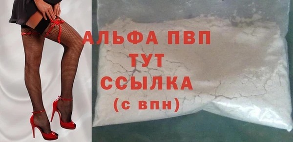PSILOCYBIN Вяземский