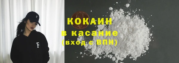 гидра Вязьма