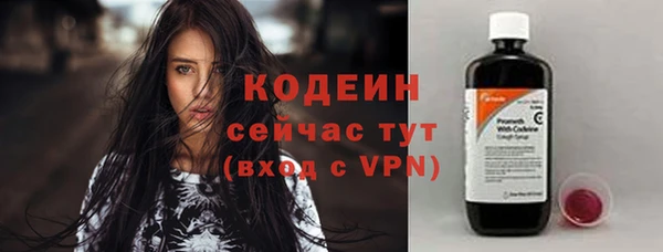 гидра Вязьма