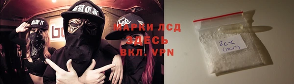 PSILOCYBIN Вяземский