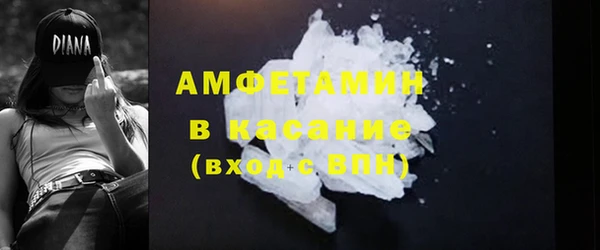 гидра Вязьма