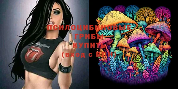 гидра Вязьма