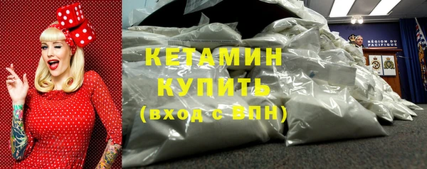 гидра Вязьма
