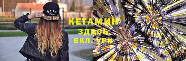 PSILOCYBIN Вяземский