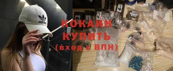 гидра Вязьма