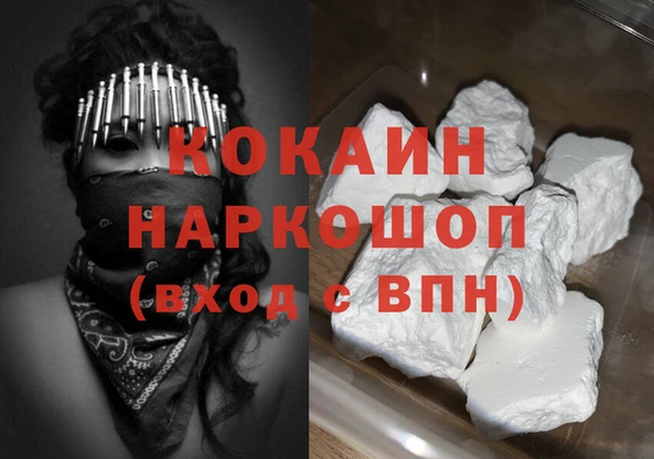 гидра Вязьма
