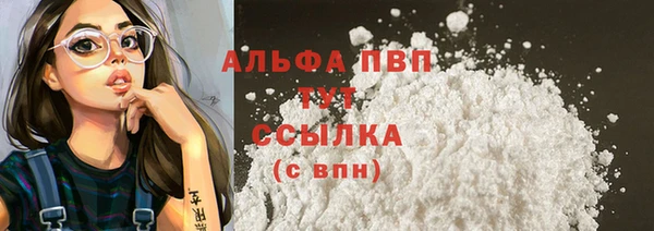 PSILOCYBIN Вяземский