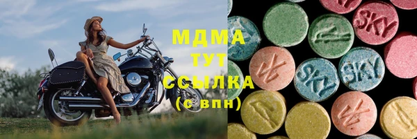 гидра Вязьма