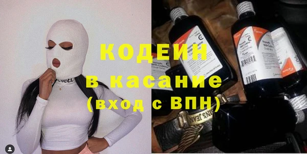 гидра Вязьма