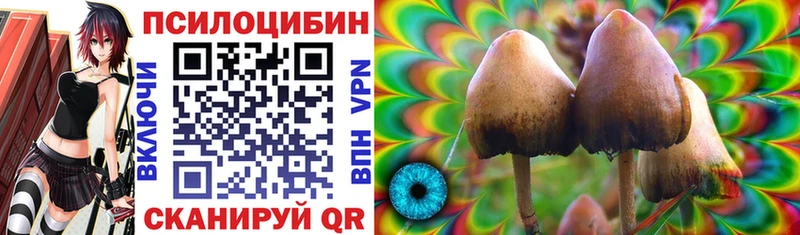 Псилоцибиновые грибы Psilocybine cubensis  Курган 