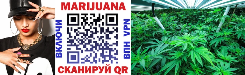 shop официальный сайт  Курган  Бошки марихуана VHQ  хочу  